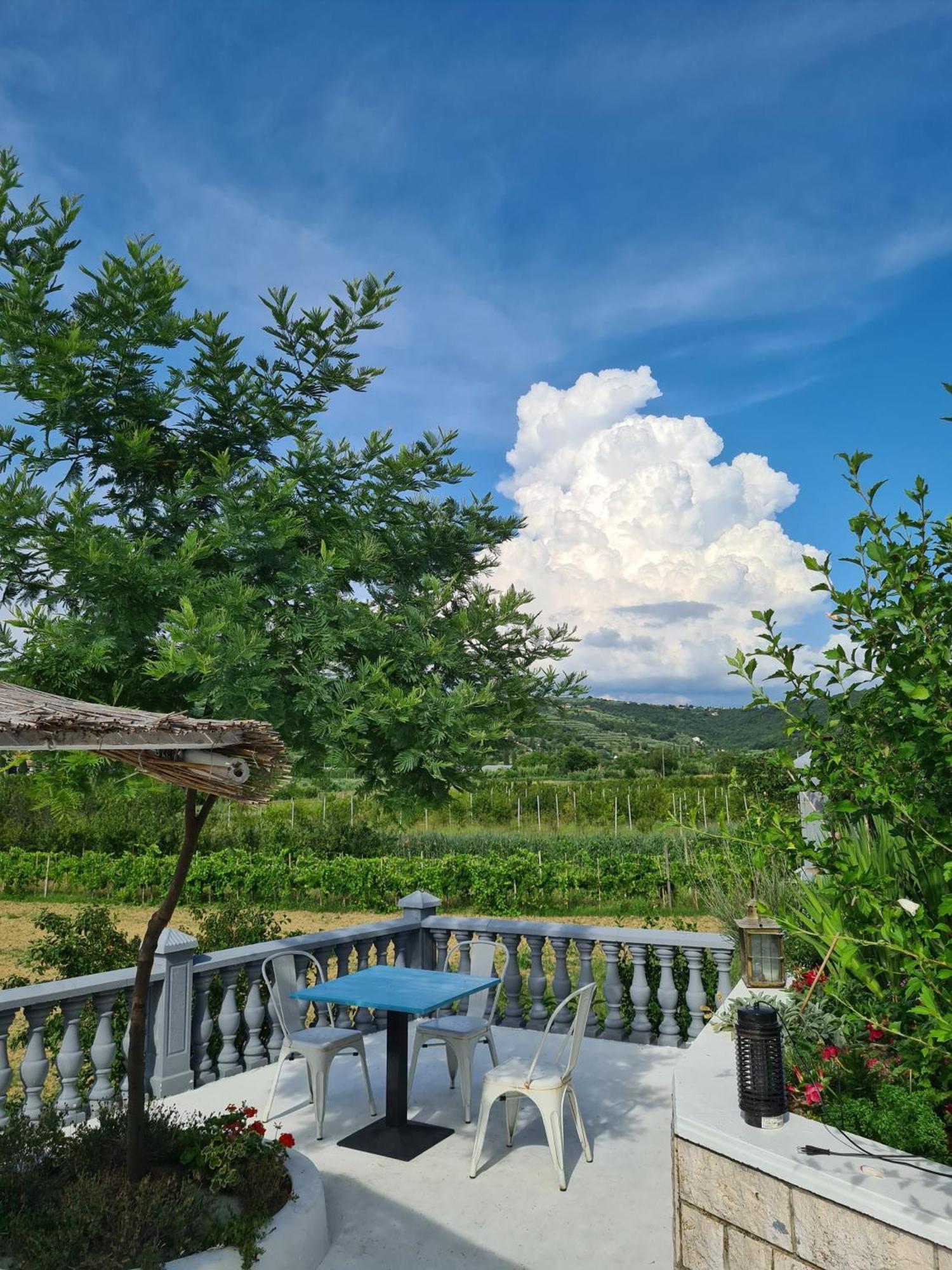 Sečovlje Guesthouse Sole المظهر الخارجي الصورة